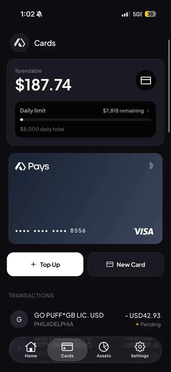 Pays card screen showing spendable balance and virtual Visa card